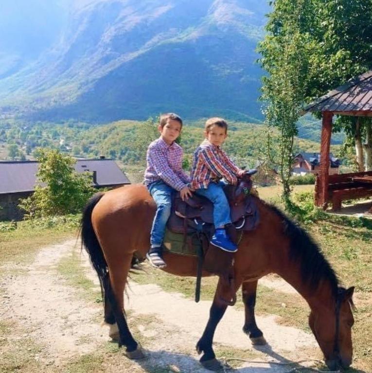 Dedushi Guesthouse &Wood Cabins-Camping Place Gusinje Dış mekan fotoğraf