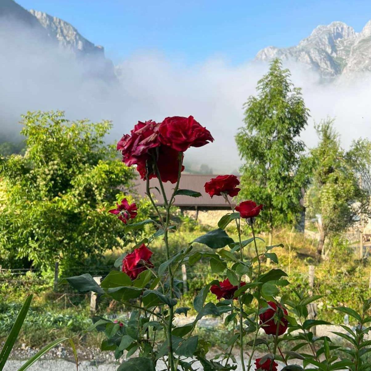 Dedushi Guesthouse &Wood Cabins-Camping Place Gusinje Dış mekan fotoğraf